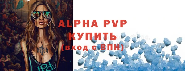 спиды Новозыбков