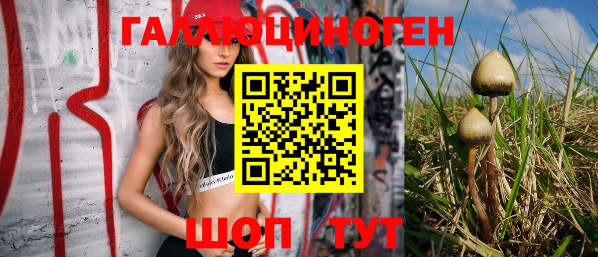 Псилоцибиновые грибы Psilocybine cubensis  Лангепас 