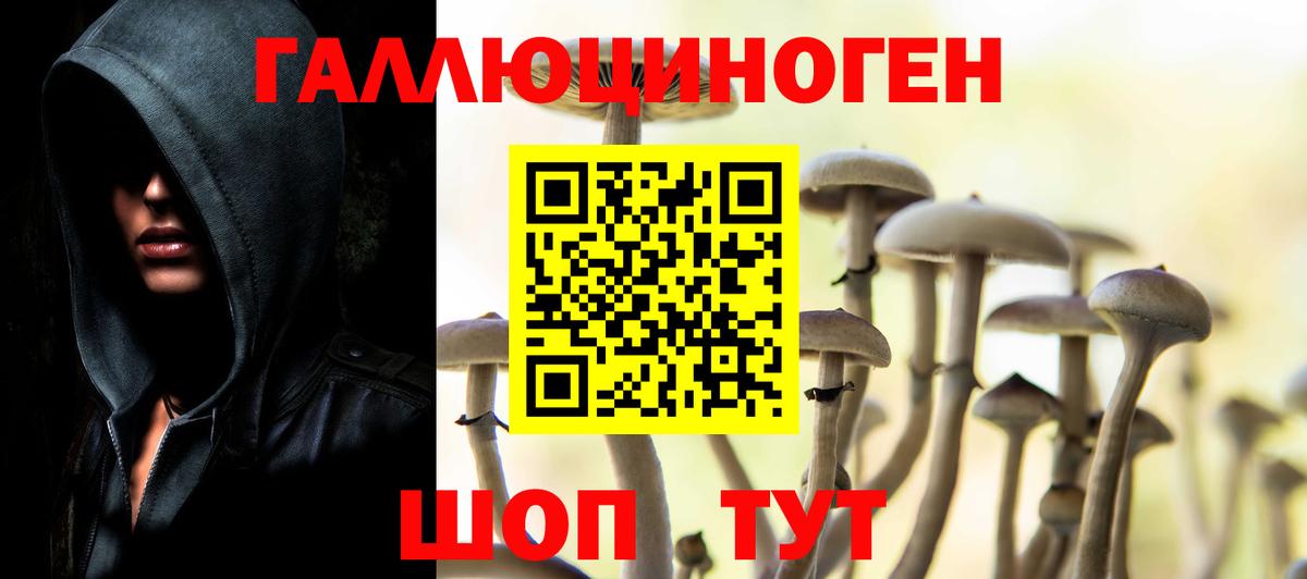 Галлюциногенные грибы Cubensis  Псилоцибиновые грибы мицелий  Вход с VPN  Лангепас 